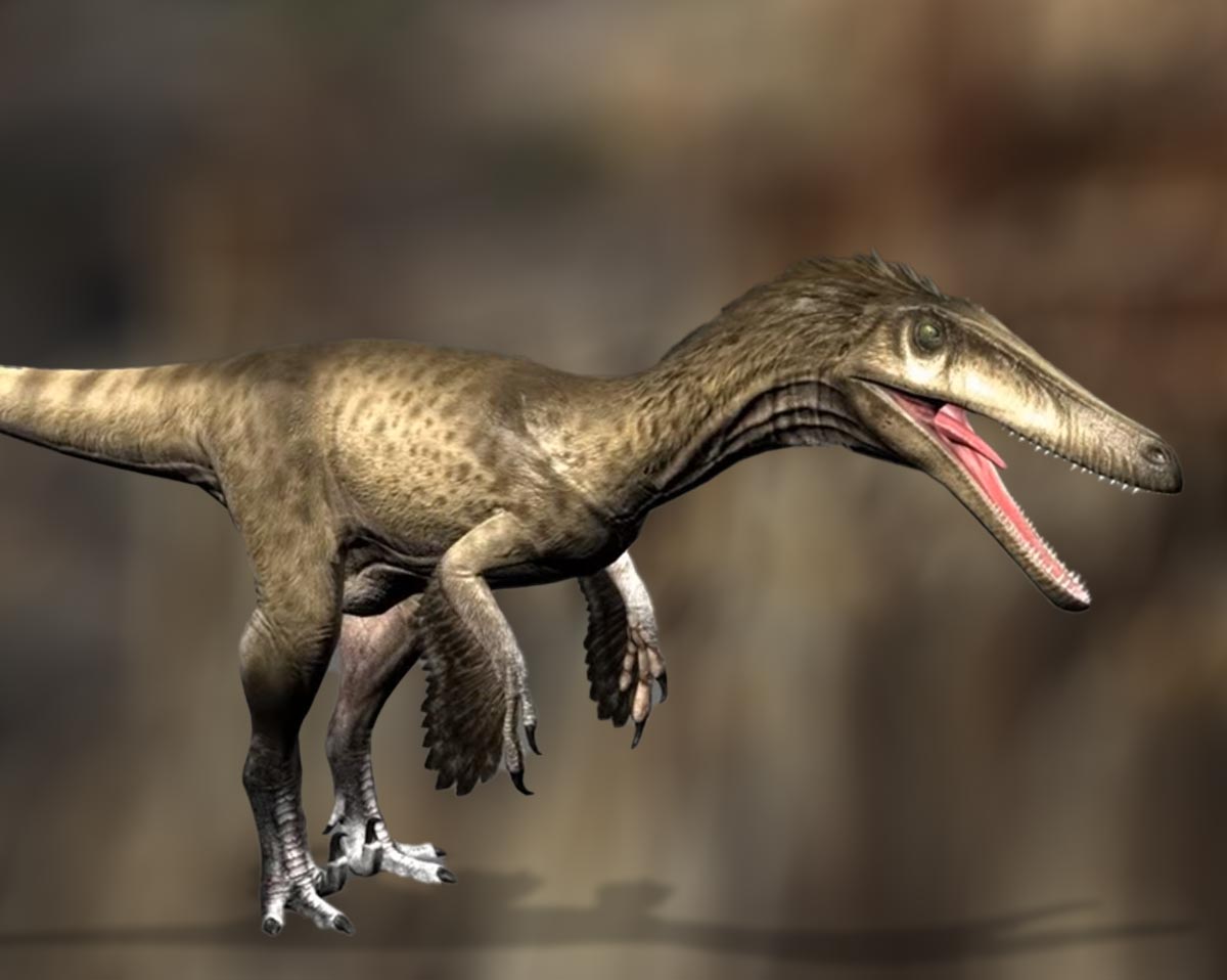 A computer model of a velociraptor